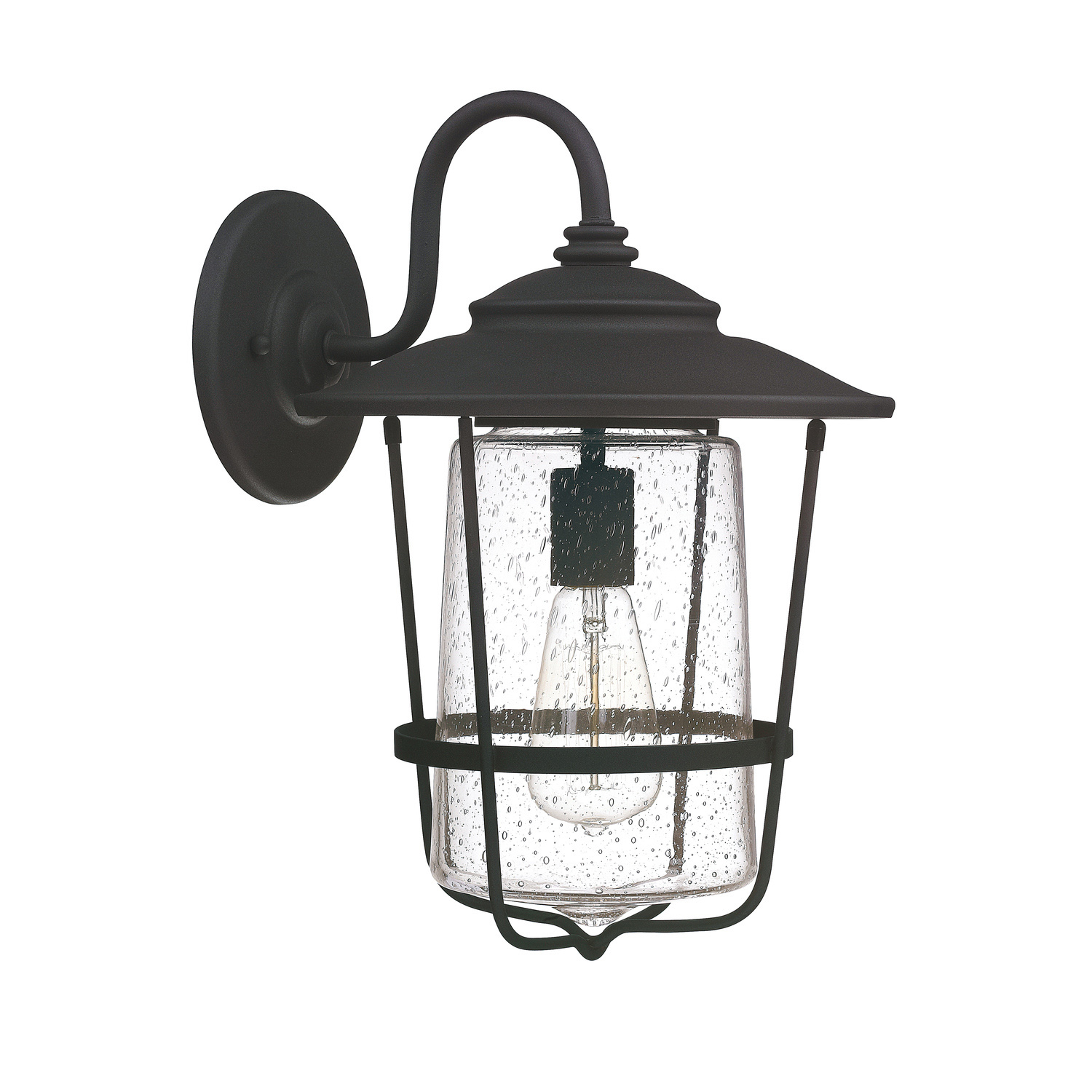 11"W x 16"H 1-Light Clear Seeded Glass Outdoor Wall Lantern in Black