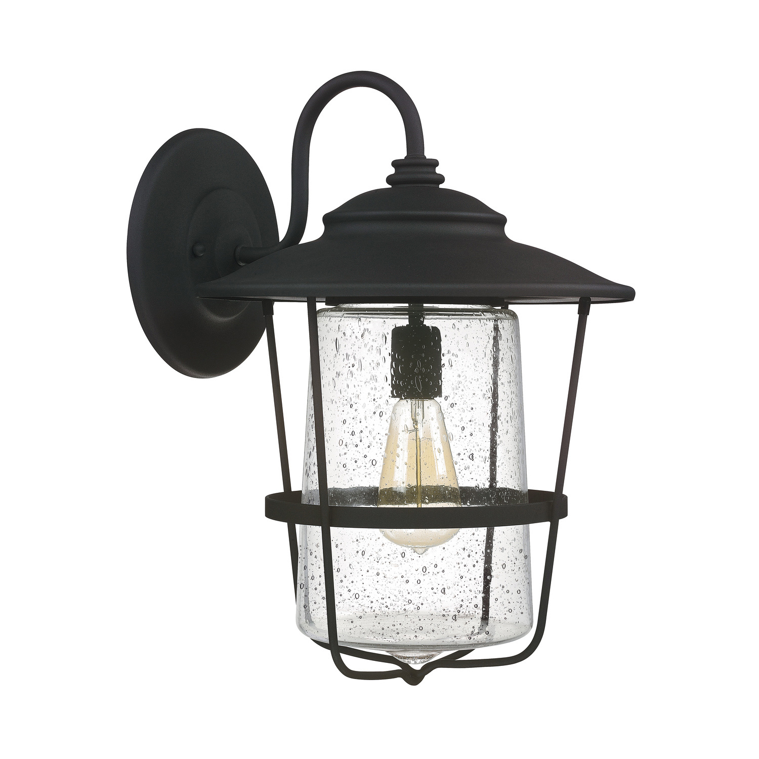 13"W x 18.5"H 1-Light Clear Seeded Glass Outdoor Wall Lantern in Black