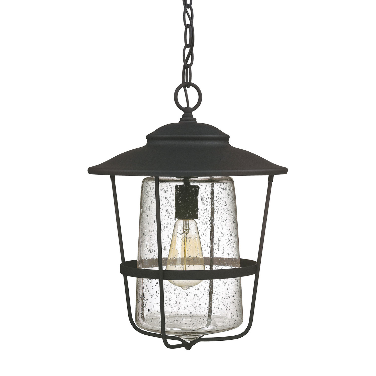 13" W x 17.5" H 1-Light Clear Seeded Glass Outdoor Hanging Lantern in Black