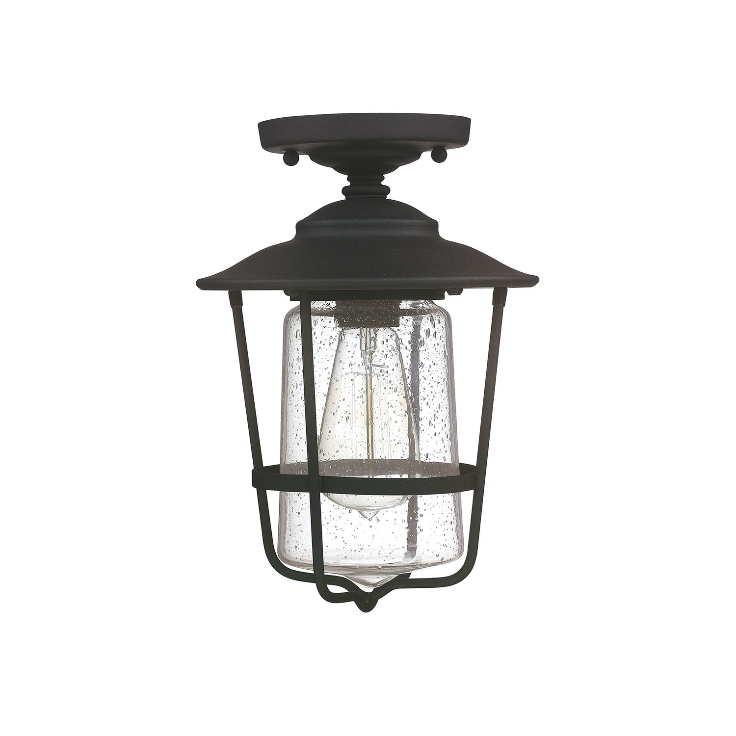 8" W x 12" H 1-Light Clear Seeded Glass Outdoor Flush Mount