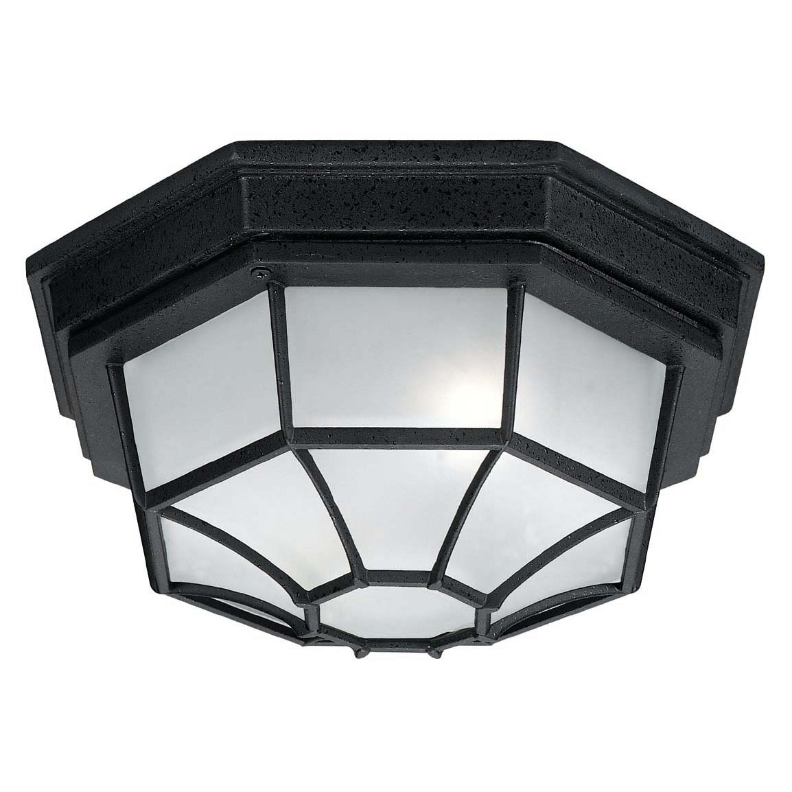 11" W x 5" H Outdoor 2-Light Frosted Glass Outdoor Flush Mount in Black