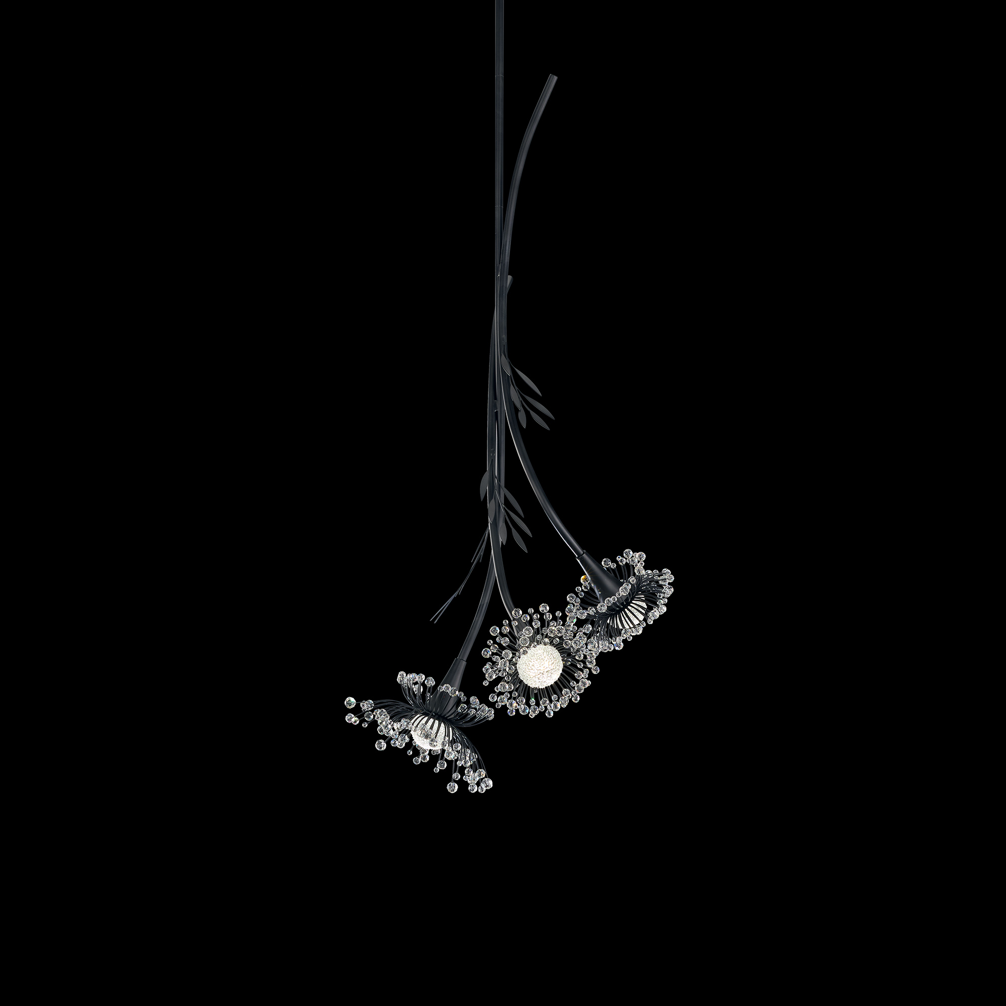 Coquette 3 Light 120/277V LED Pendant in Black with Clear Radiance Crystal