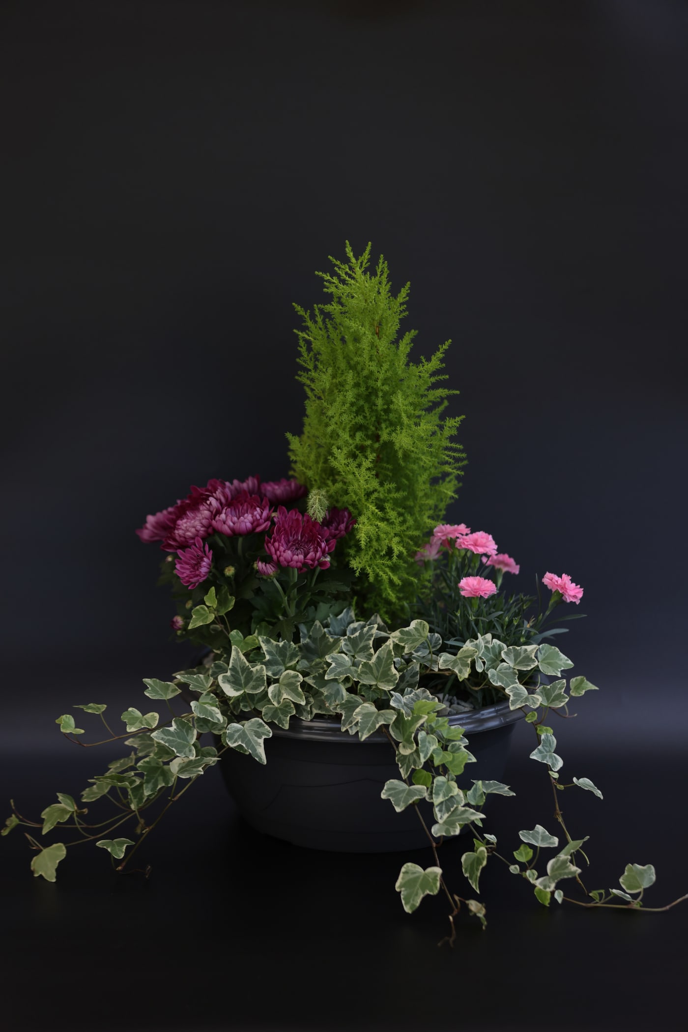 Composition de plantes vertes et fleuries réalisée par L'Or en Fleur à Chamalières.