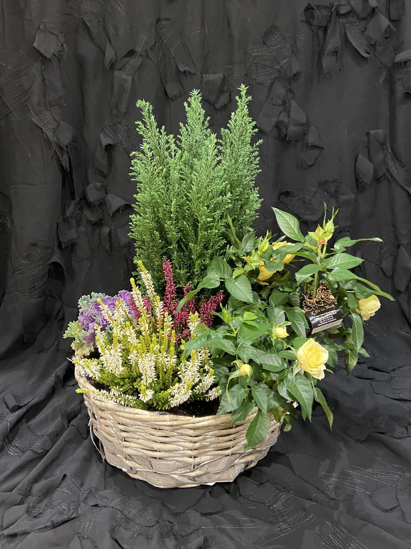 Panier de plantes d'intérieur préparé par L'Or en Fleur à Chamalières.