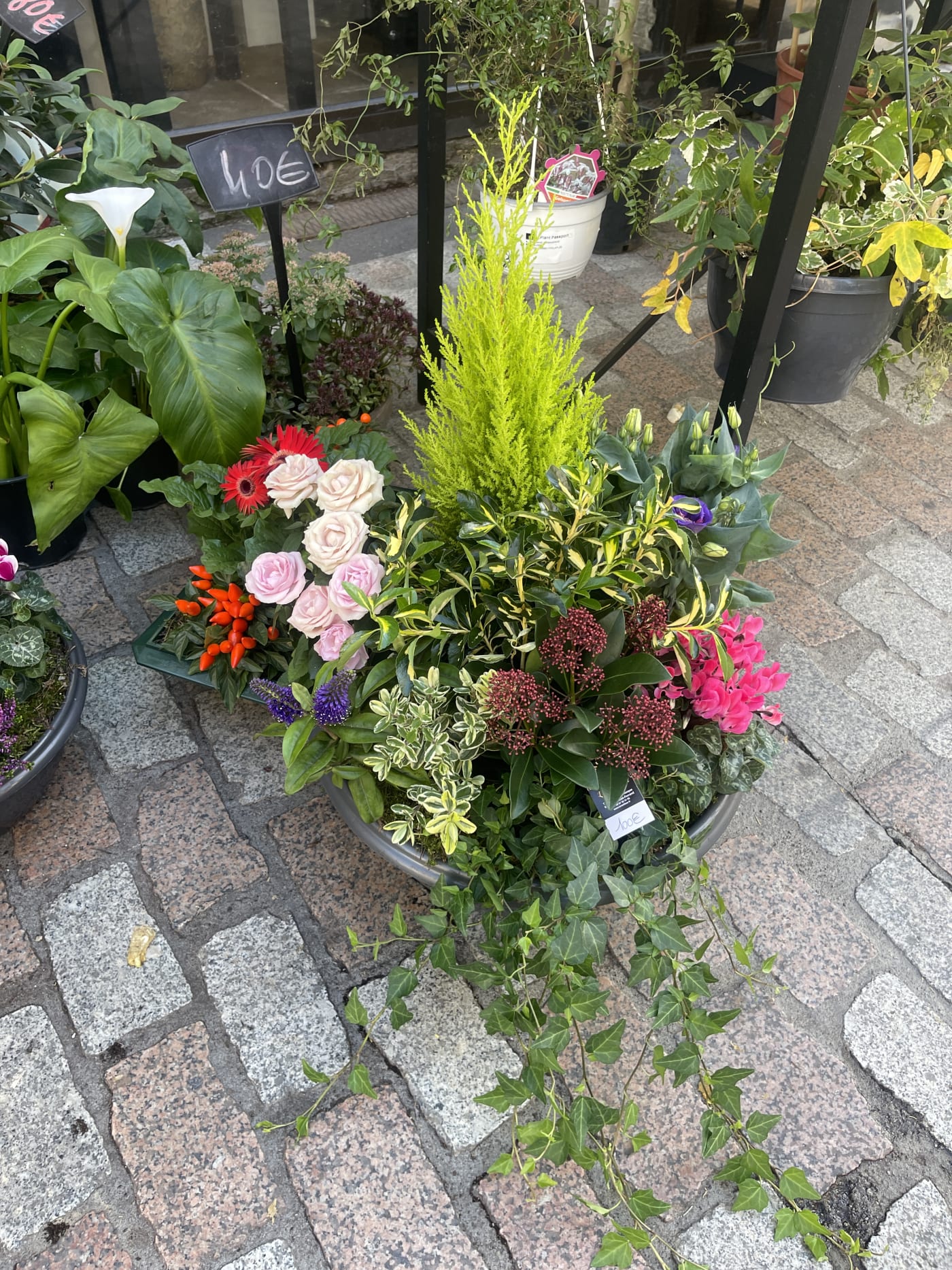 Composition de plantes fleuries préparée par L'Or en Fleur à Clermont-Ferrand.