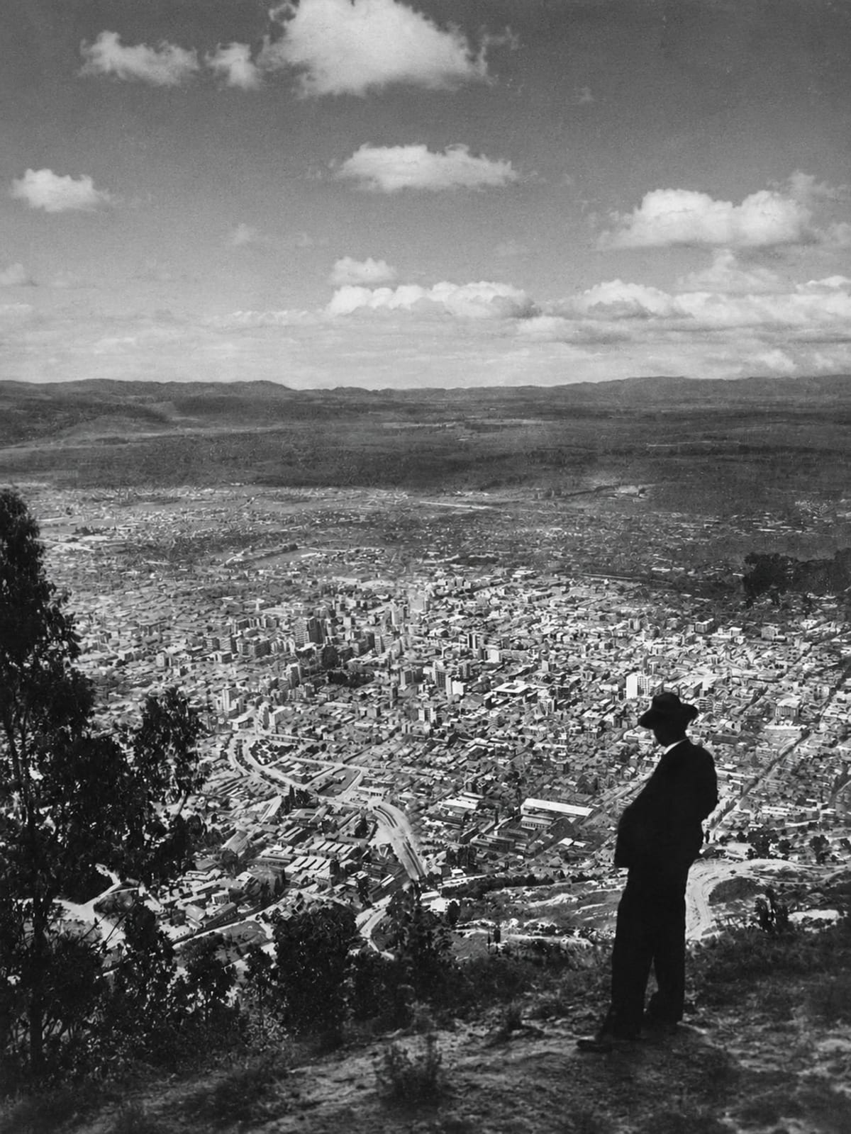 Imagen de Kikuyo