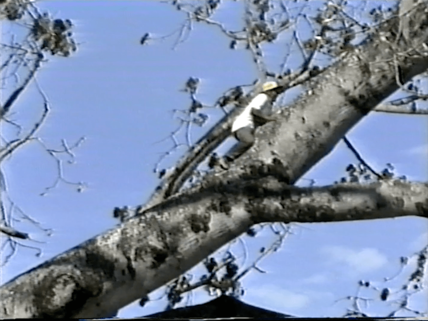 Gigante — still 2