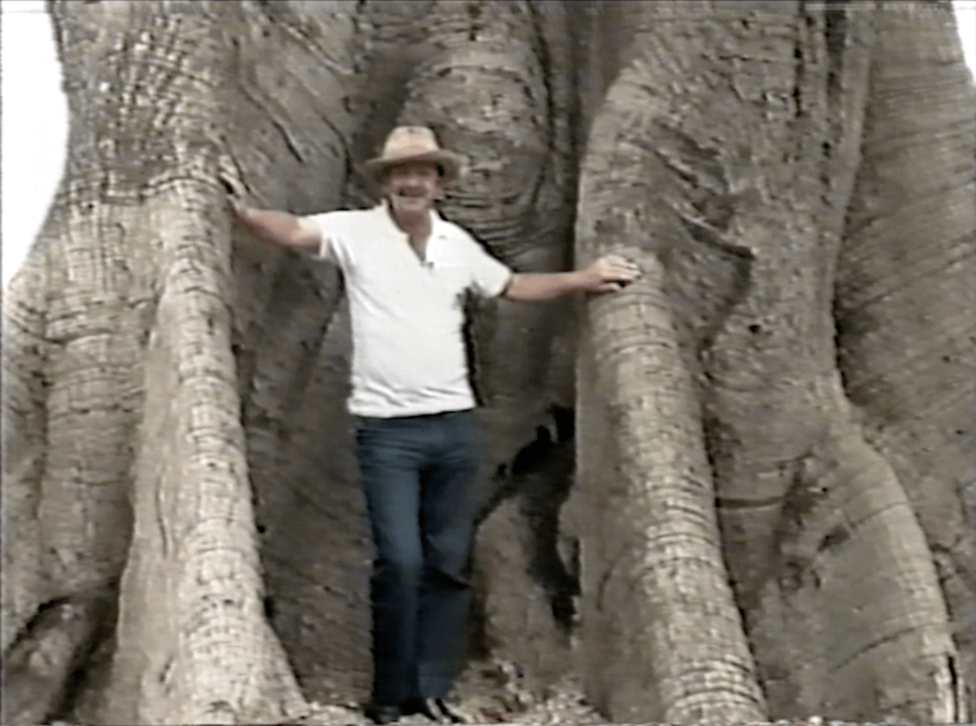 Gigante — still 1