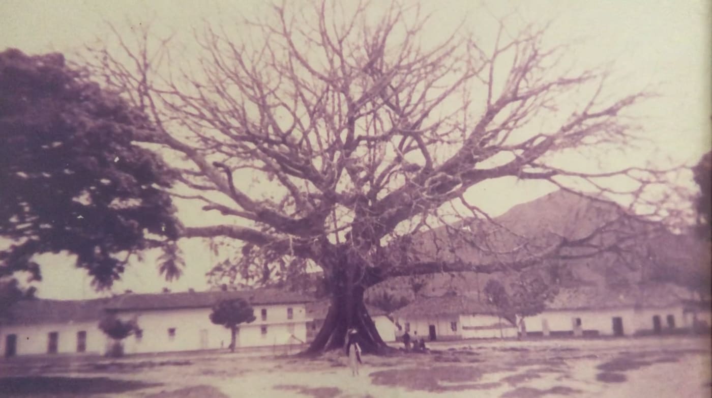 Gigante — still 3