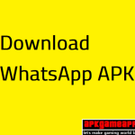 Fm whatsapp apk