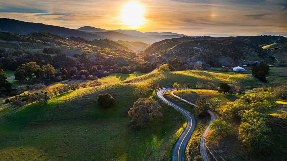 Carmel Valley Scenic Vineyards