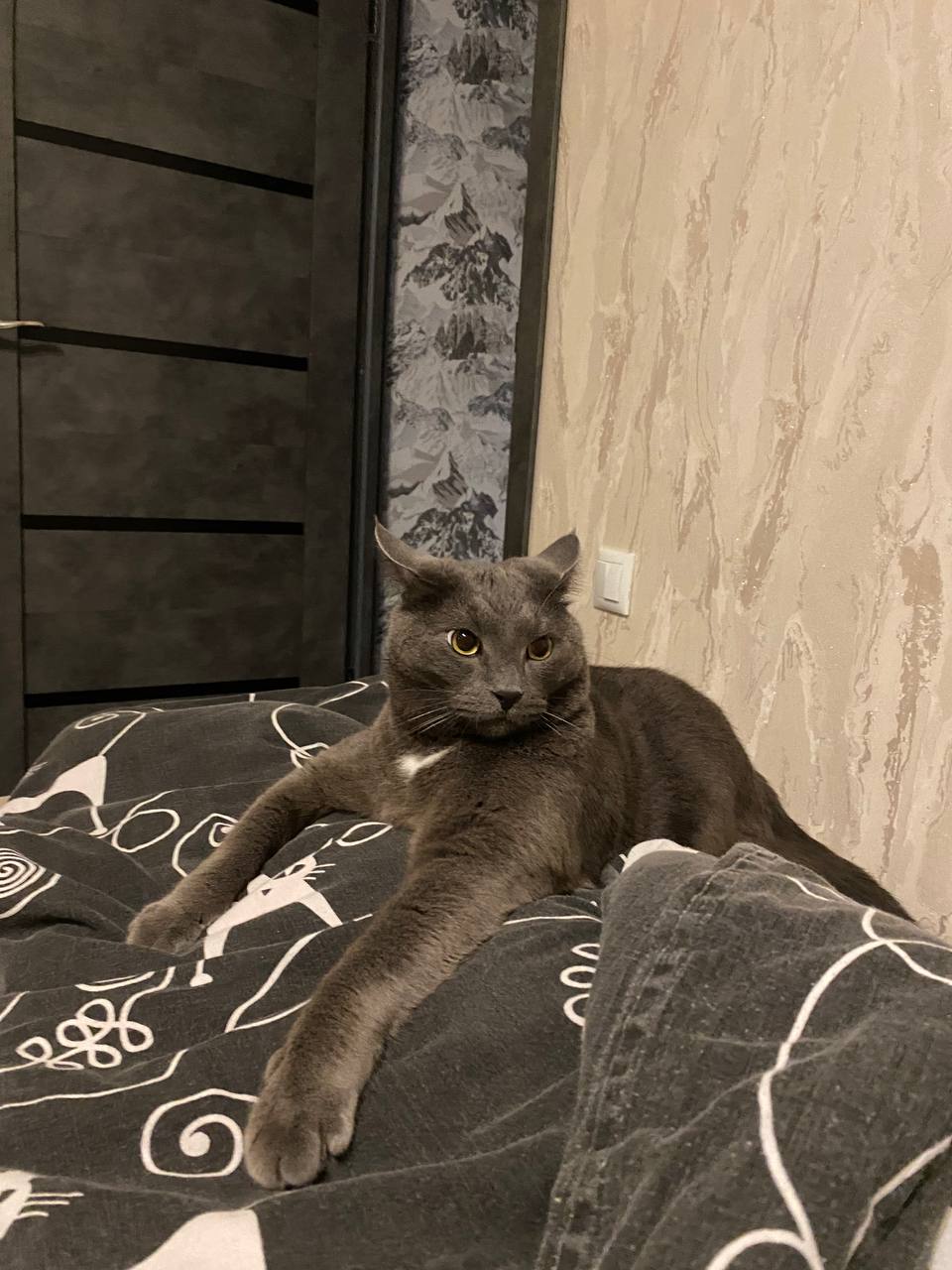 Изя