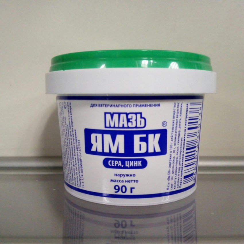 Мазь от лишая у человека: эффективные и недорогие средства