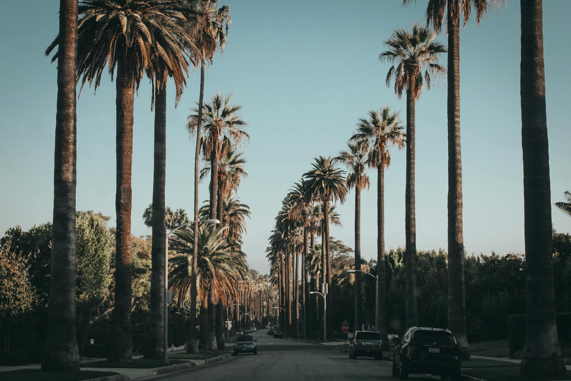 Palm Springs