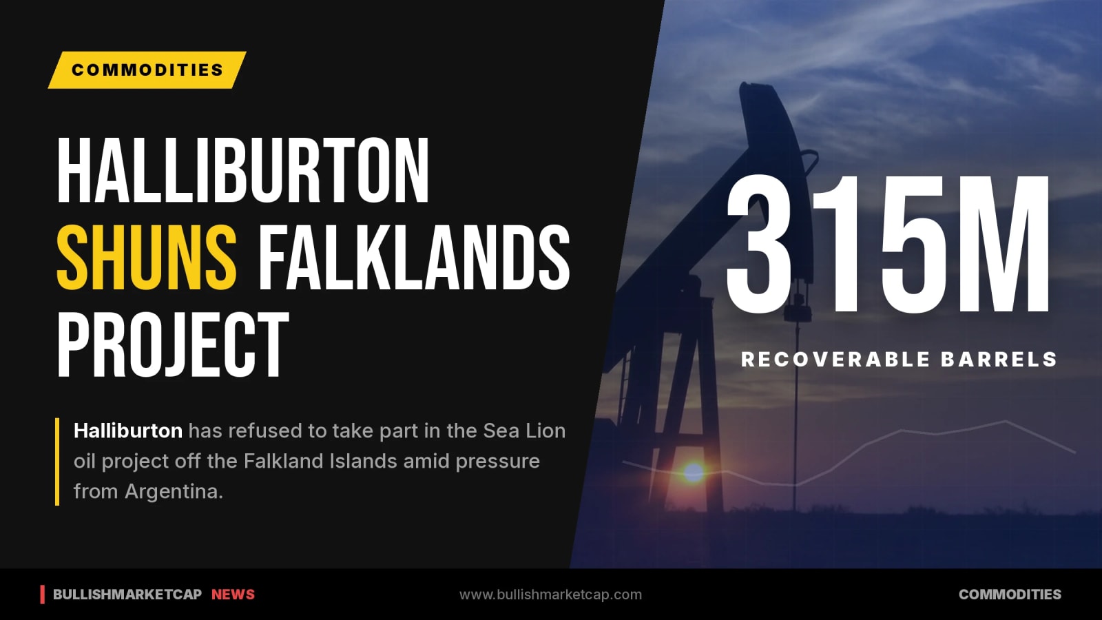 Halliburton Rules Out Falklands Sea Lion Oil Project