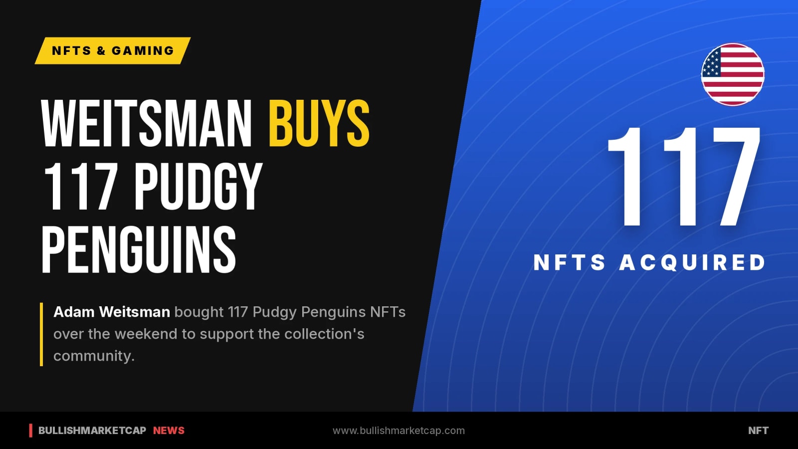 Billionaire Adam Weitsman Buys 117 Pudgy Penguins NFTs