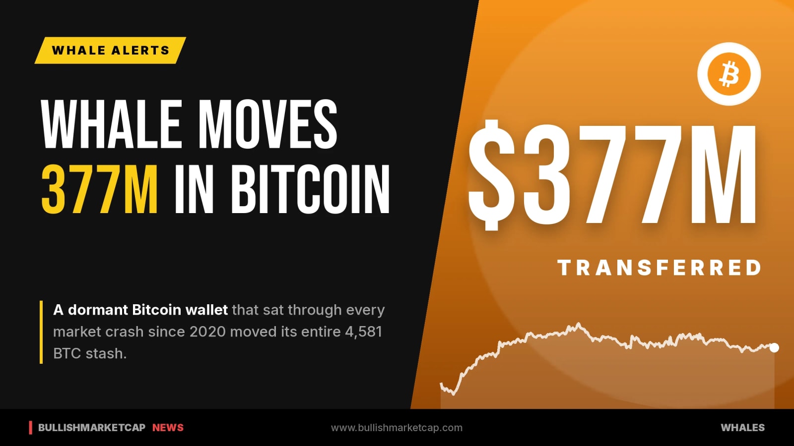 Bitcoin Whale Moves $377M After Surviving 2020 Crash