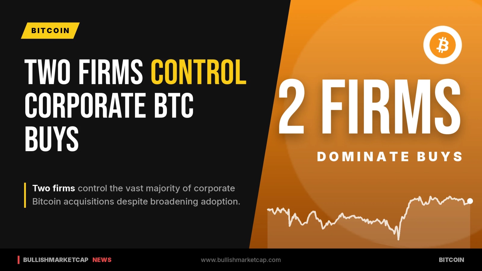 Two Firms Dominate Corporate Bitcoin Buys