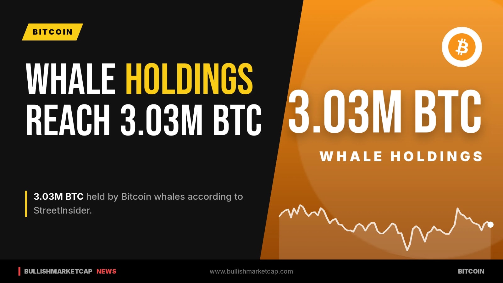 Bitcoin Whales Reach 3.03M BTC Holdings