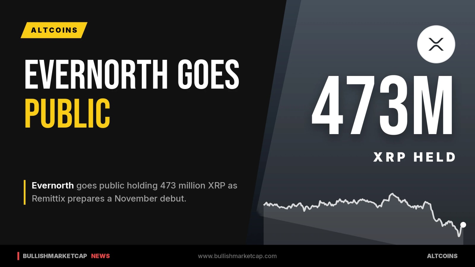 Evernorth Goes Public With 473M XRP Holdings