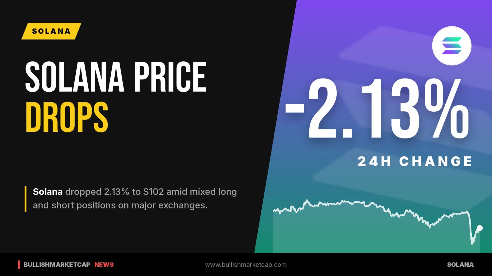 Solana Price Drops 2.13% to $102 Amid Mixed Positions