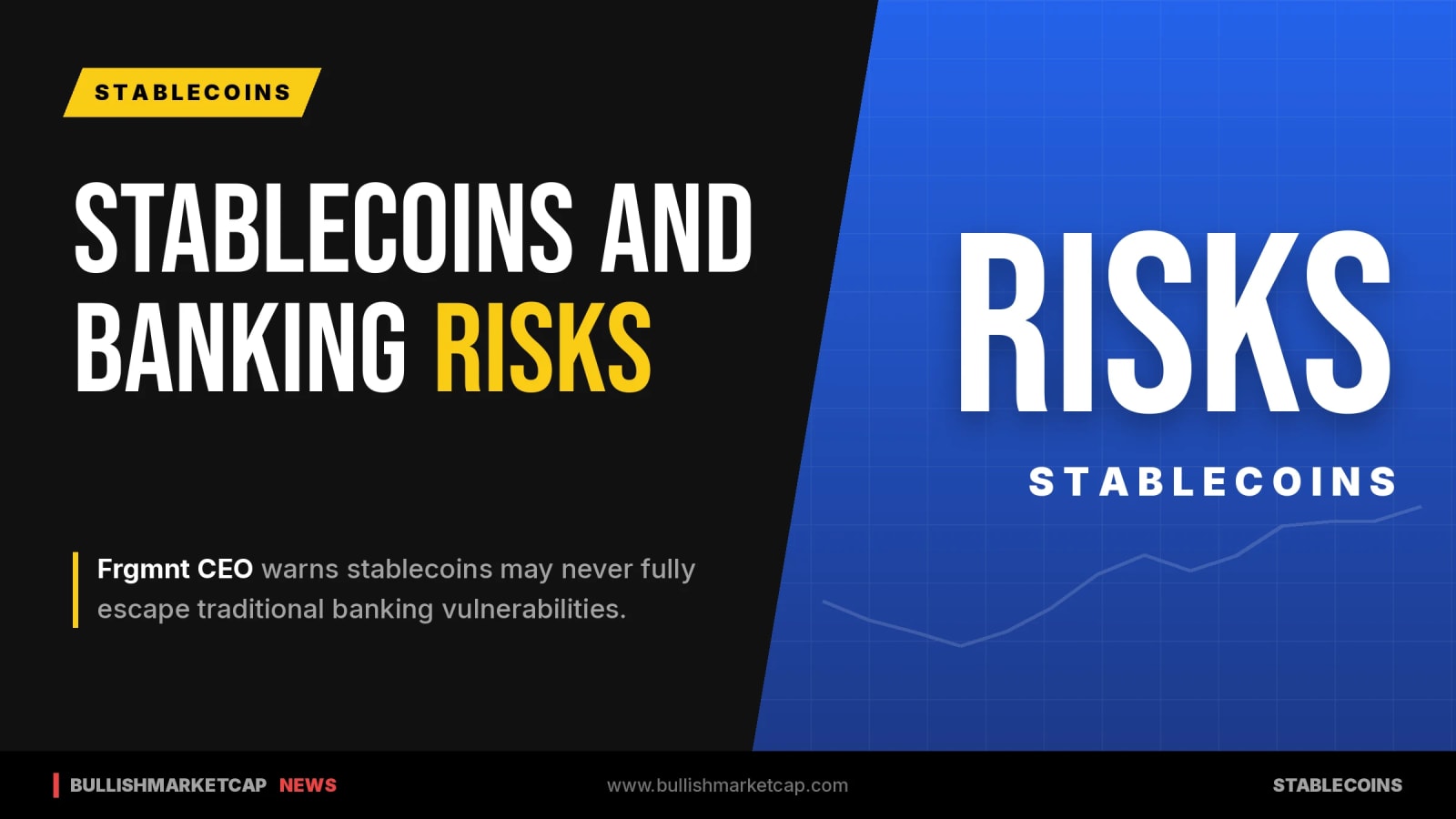 Stablecoins May Never Escape Traditional Banking Risks, Says Frgmnt CEO
