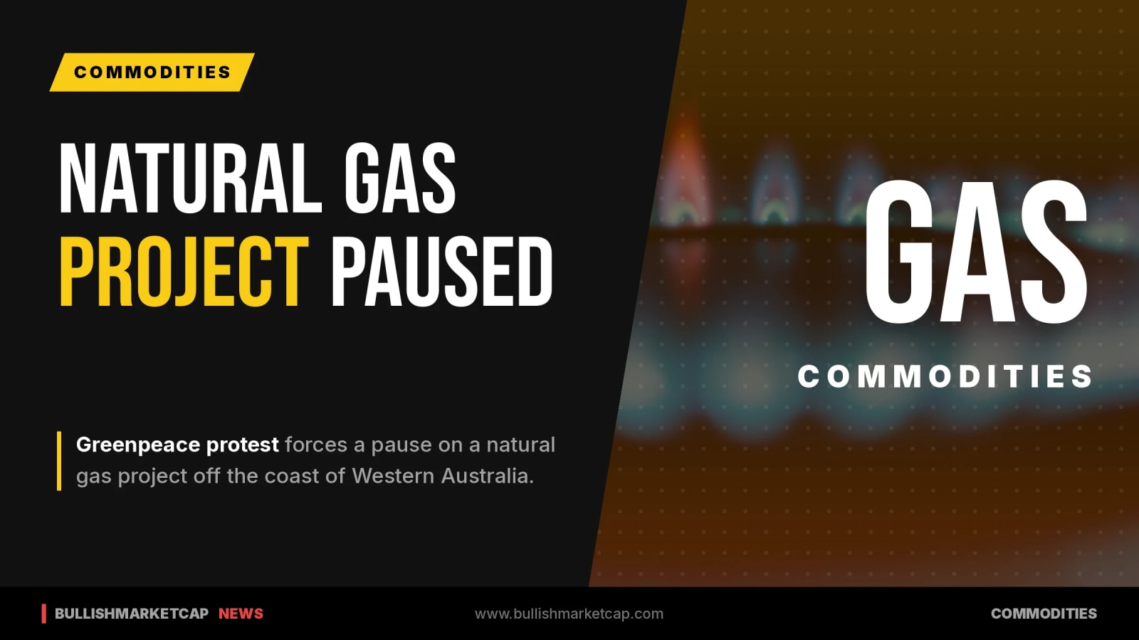 Natural Gas Project Paused Following Greenpeace Protest