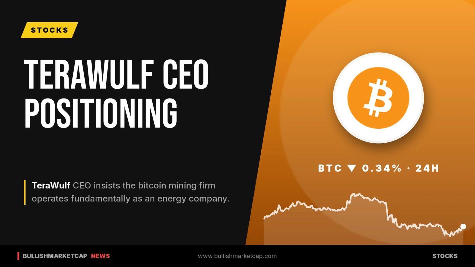 TeraWulf CEO Positions Bitcoin Miner as Energy Company