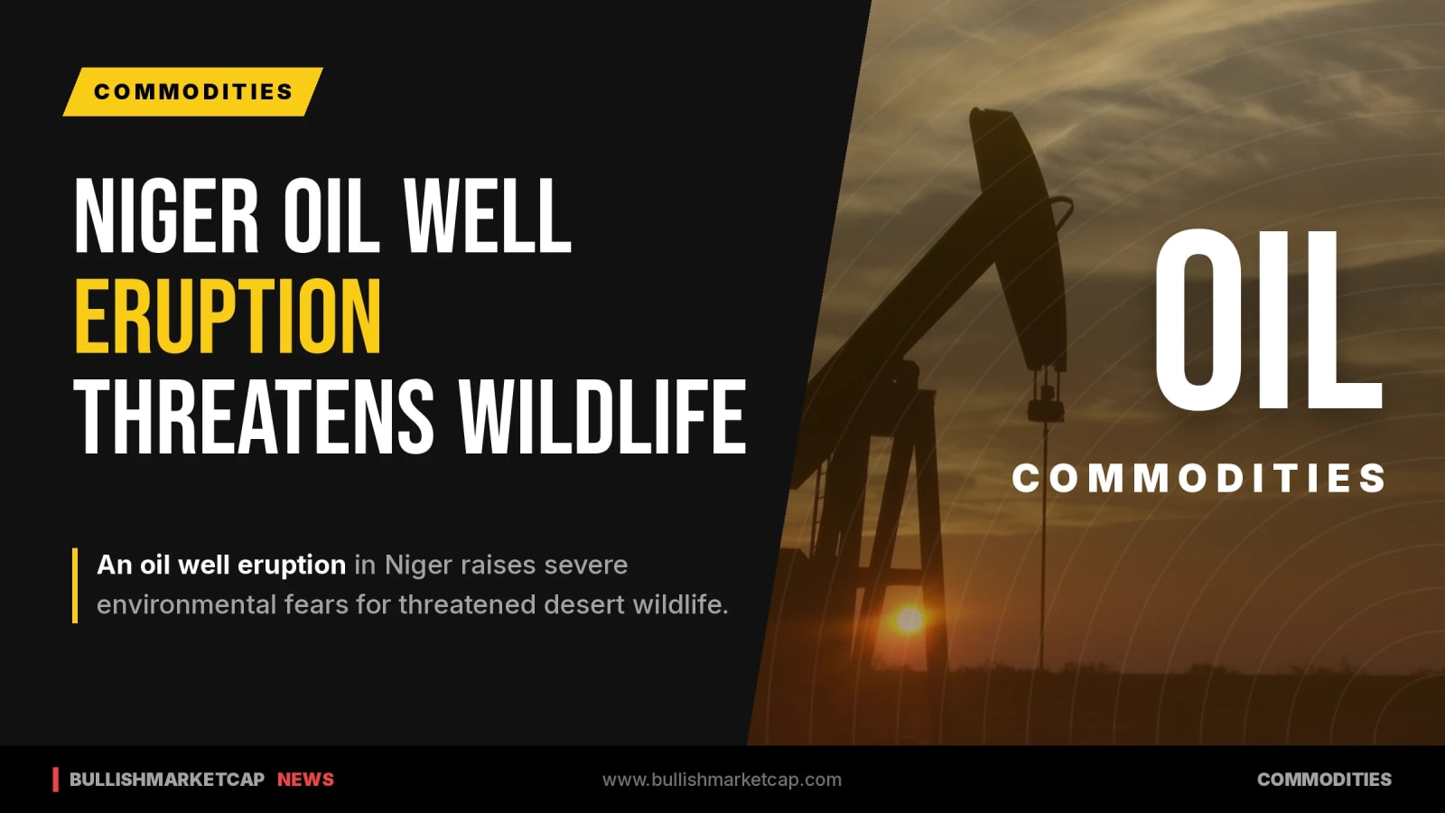 Severe Niger Oil Well Eruption Threatens Desert Wildlife