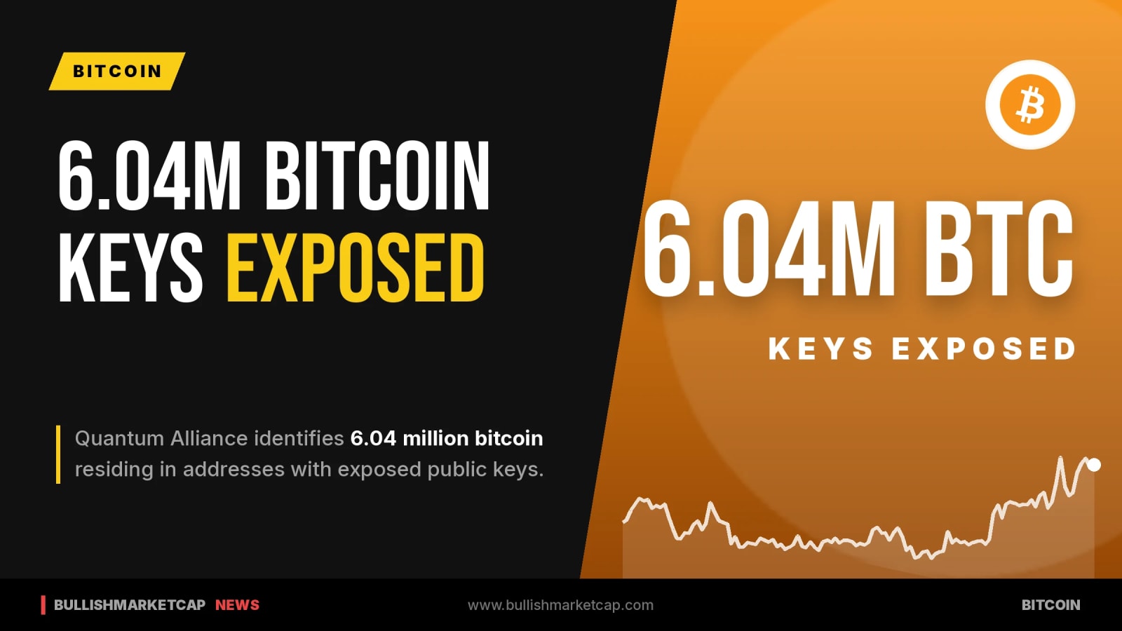 Quantum Alliance Finds 6.04M Bitcoin With Exposed Public Keys
