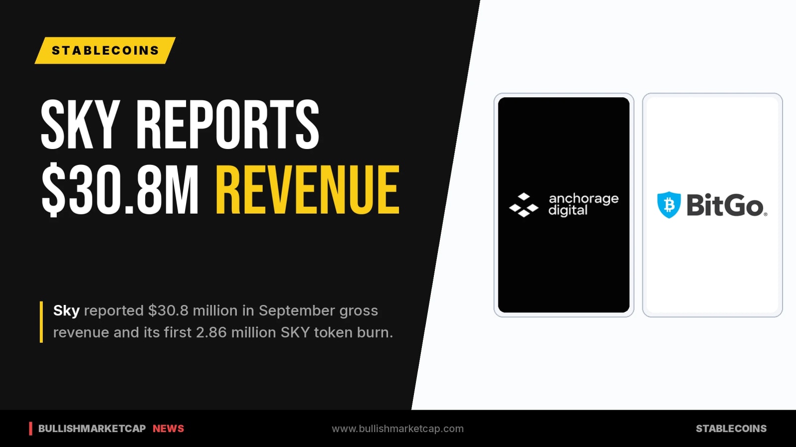 Sky Reports $30.8M Revenue and Executes First Token Burn