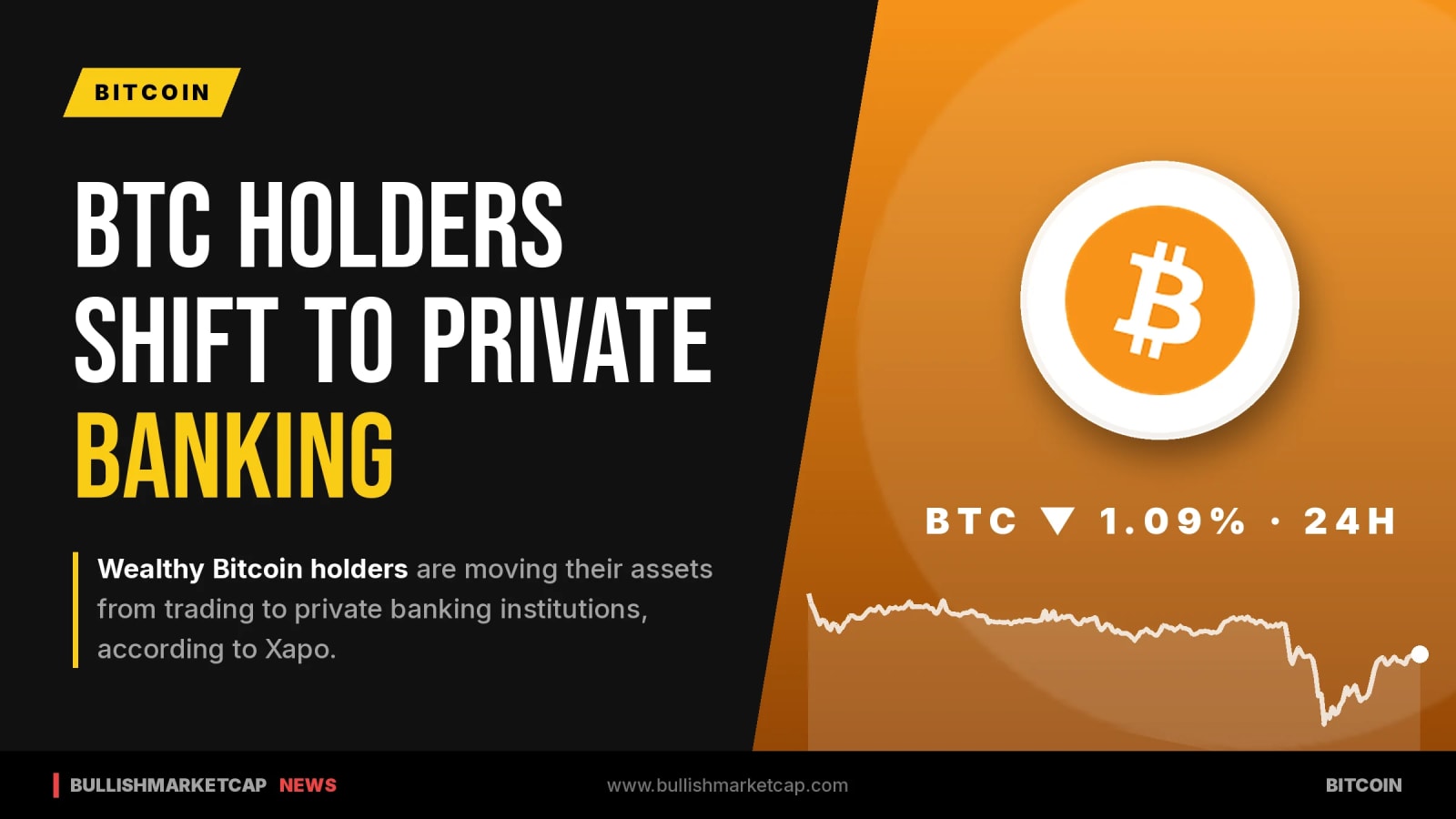 Bitcoin Wealthy Holders Moving to Private Banking, Xapo CEO Says