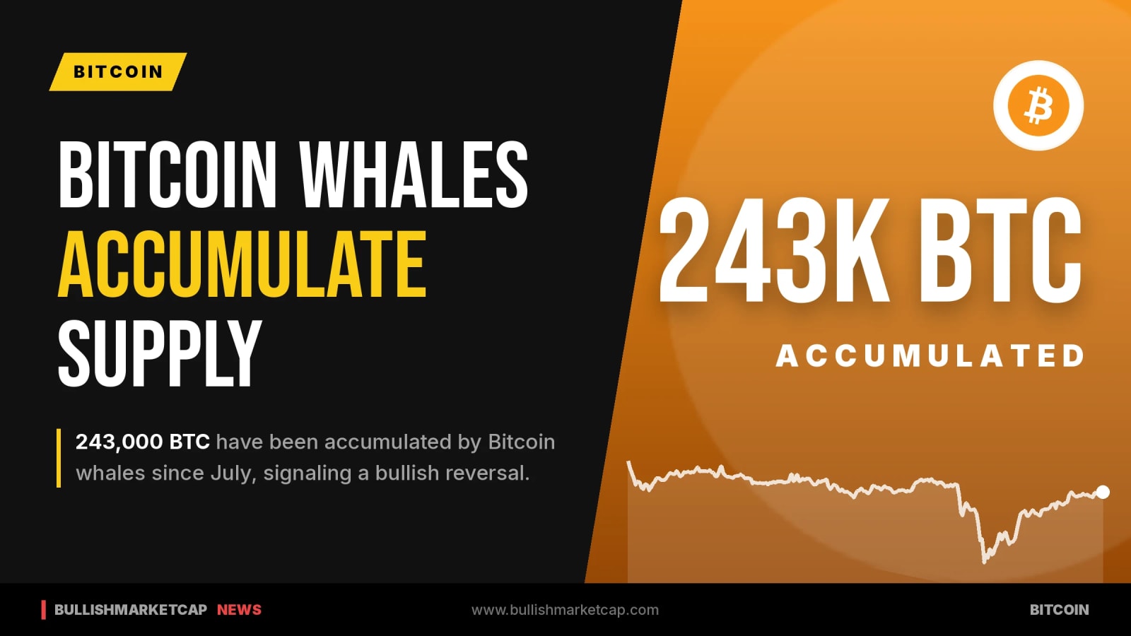 Bitcoin Whale Accumulation Reaches 243,000 BTC Since July