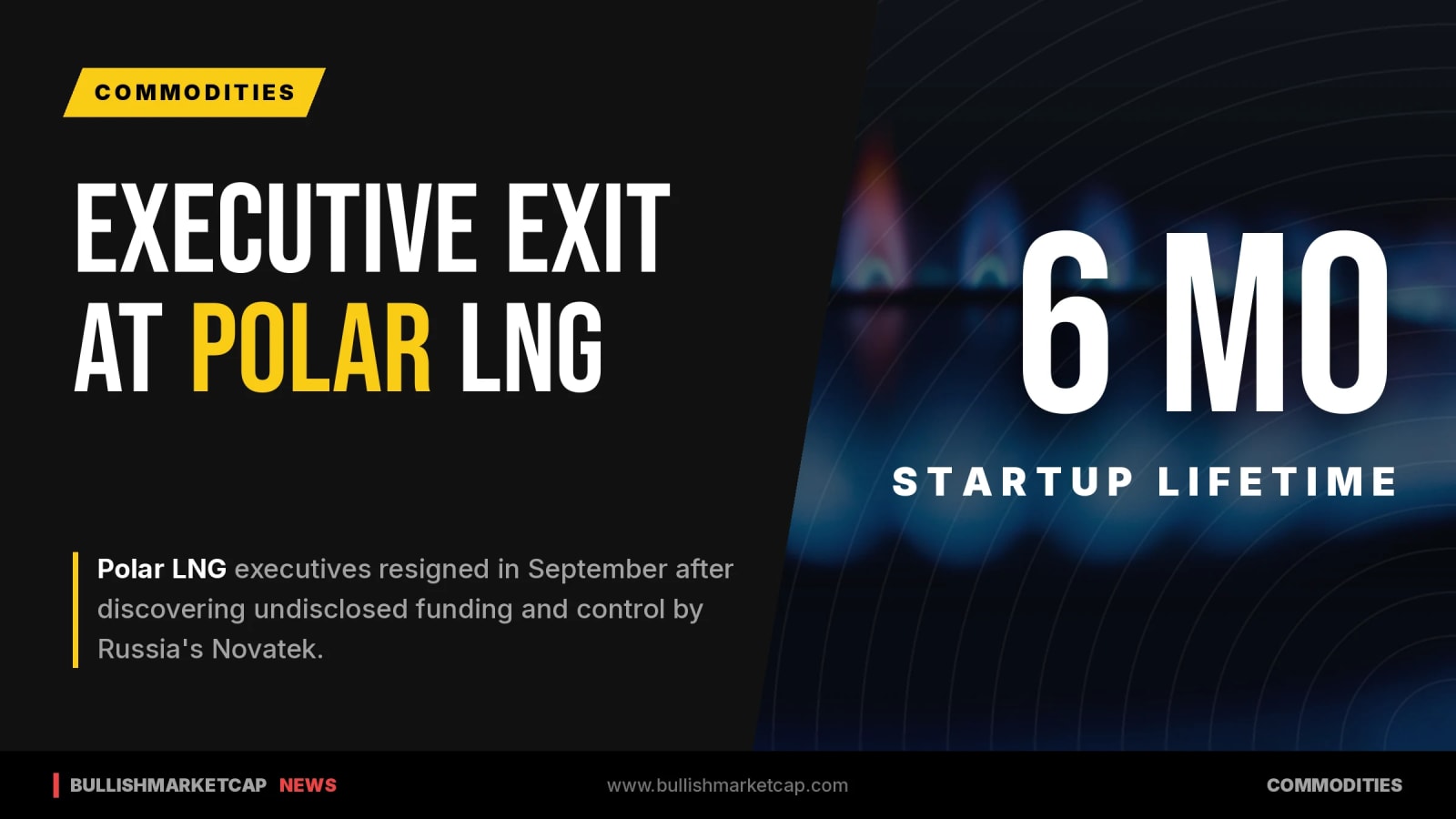 Executive Exodus Hits Polar LNG Over Novatek Funding