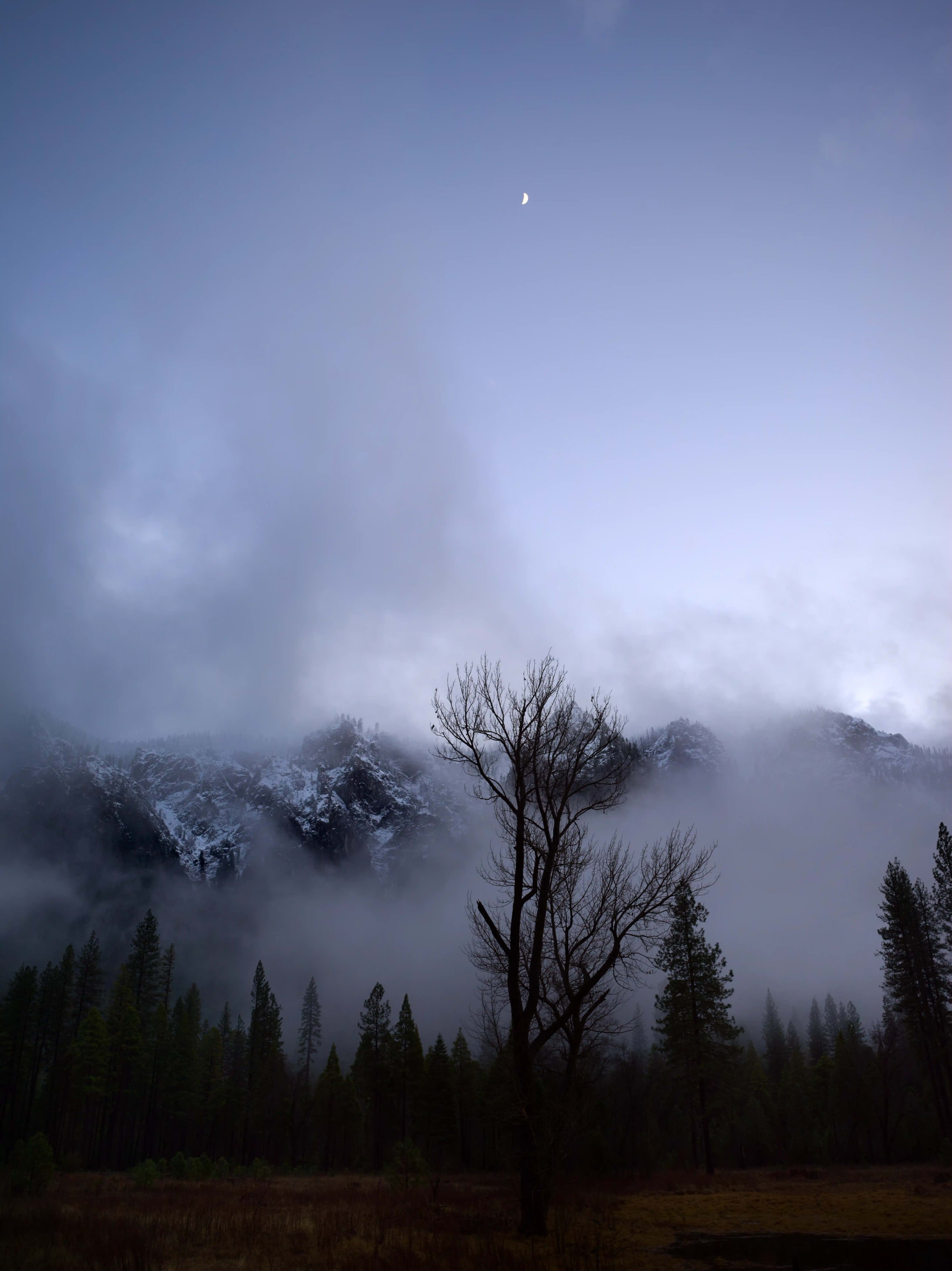Yosemite Meadow III