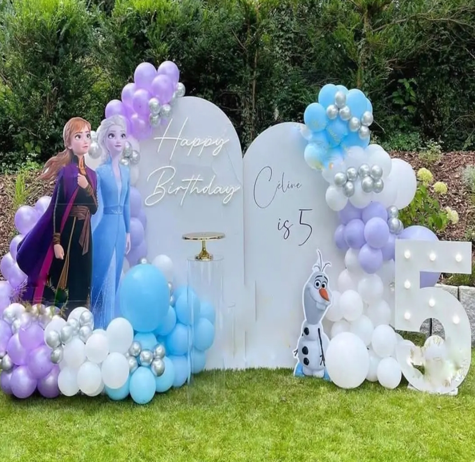 Frozen theme decoration backdrop 