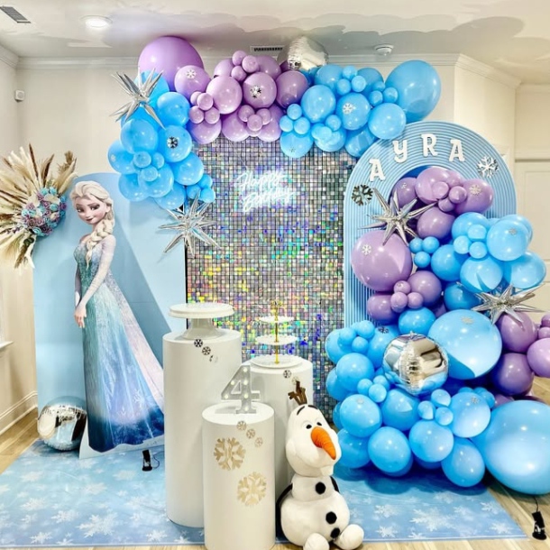 Attractive Frozen theme decoration for Girls 