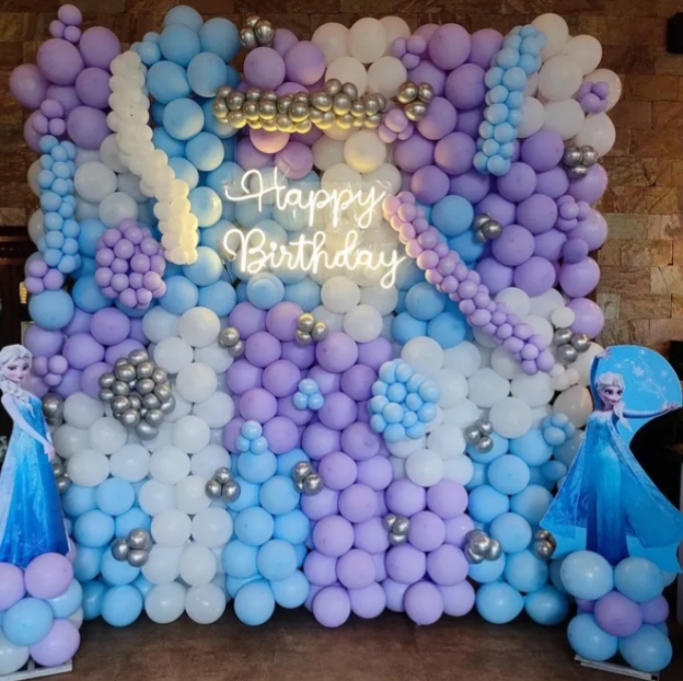 Frozen theme decoration for Girls 