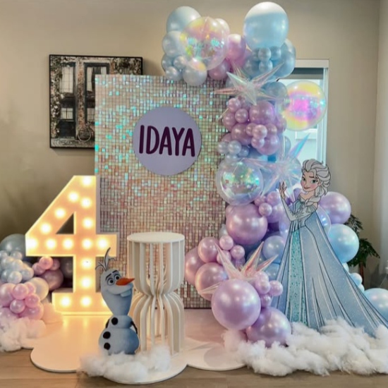 Frozen theme decoration for Girls 