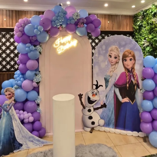 Frozen theme decoration for Girls 