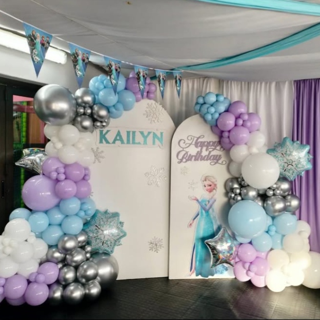 Best Frozen theme decoration for Girls 