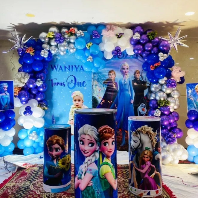 Frozen theme decoration for Girls with backdrop 
