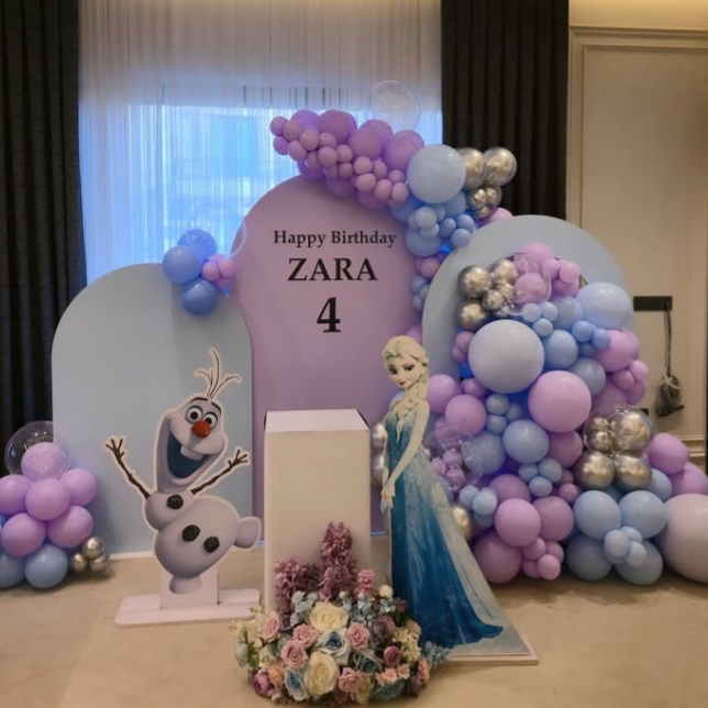 Princess vibe Frozen theme decoration for Girls