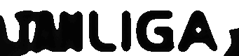 SULTANLIGA logo
