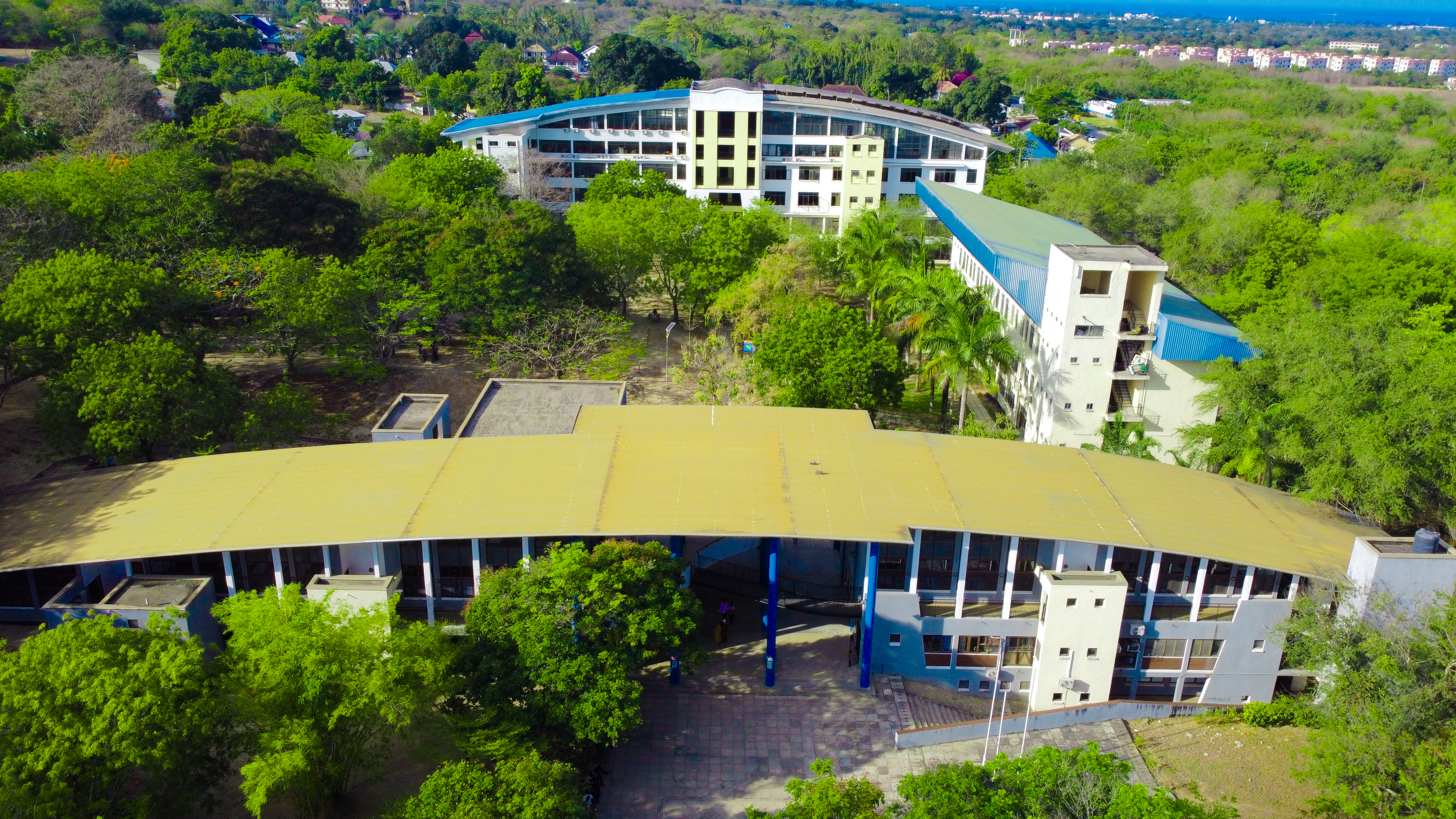 Ardhi University