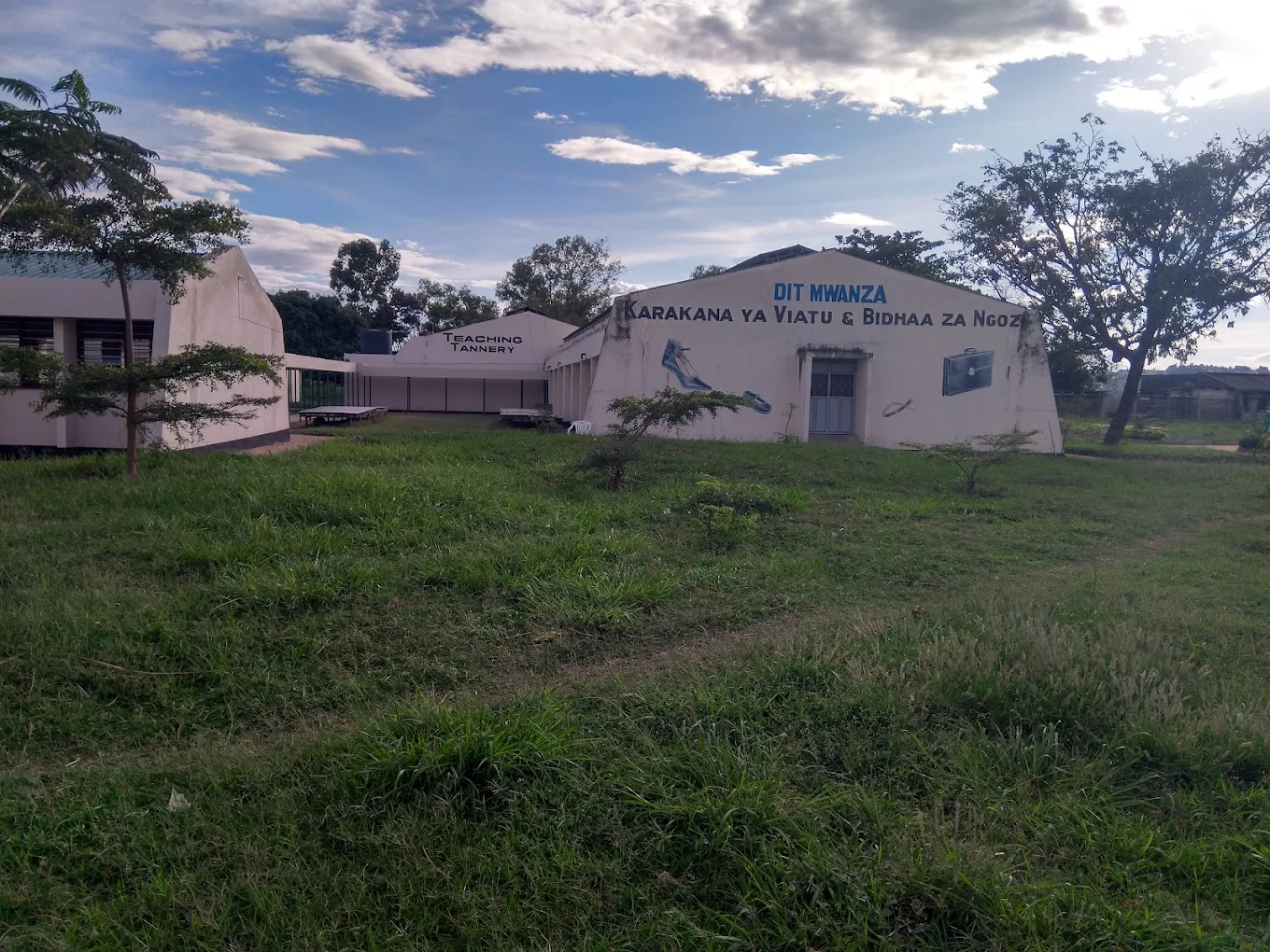 Dar es Salaam Institute of Technology (DIT)-Mwanza Campus