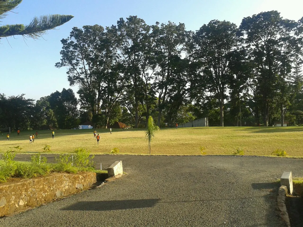 College of African Wildlife Management Mweka