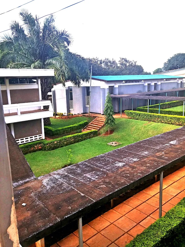 Mzumbe University