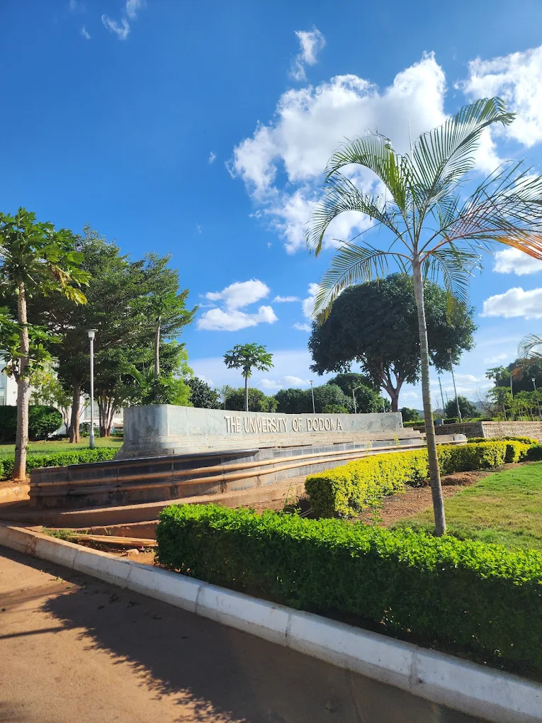 University of Dodoma