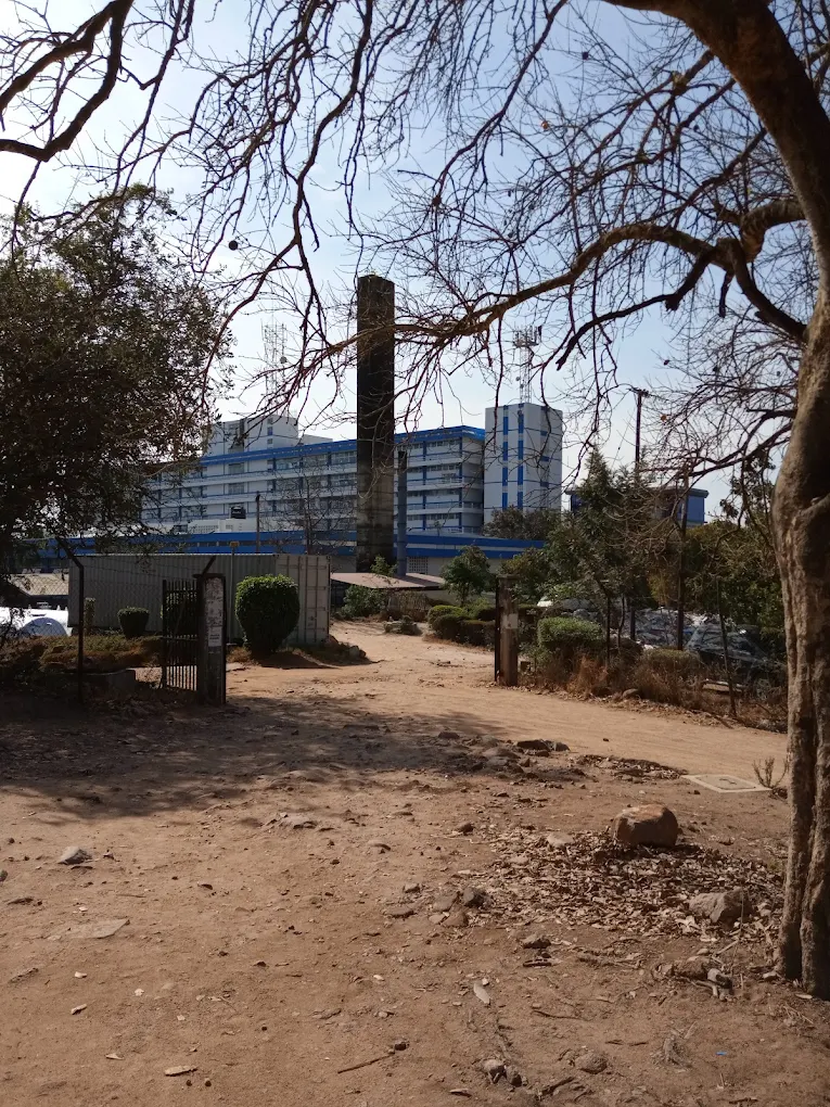 Catholic University of Health and Allied Sciences